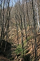 czatkowice 067
